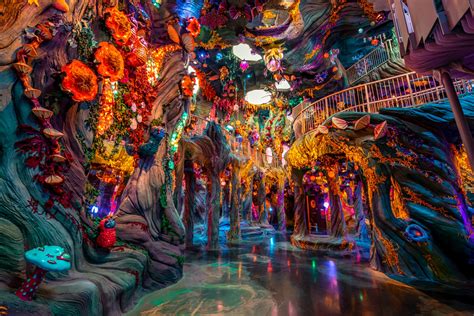 meow wolf.com|meow wolf art gallery.